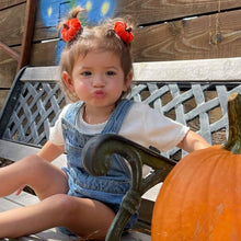 Load image into Gallery viewer, VELVET PUMPKIN
